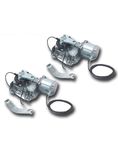 2 Motoréducteurs irréversibles 24V Came 001FROG-A24