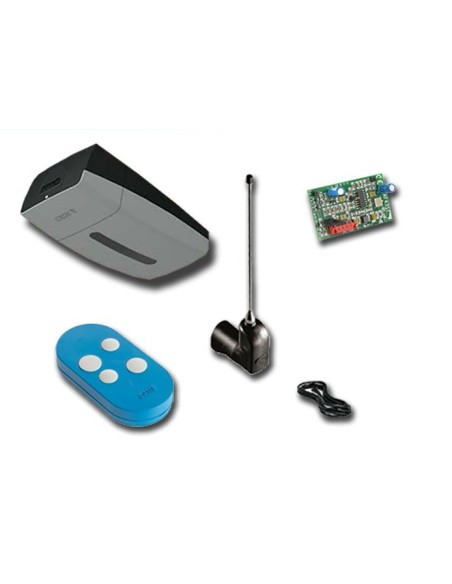 Kit automatisation VER plus 24v 801MV-0020 Came 8k01MV-012