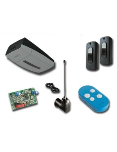 Kit motorisation VER plus 24v VER10DMS Came 8K01MV-010FR