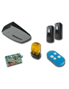 Kit motorisation VER plus 24v VER13DMS Came 8K01MV-009FR