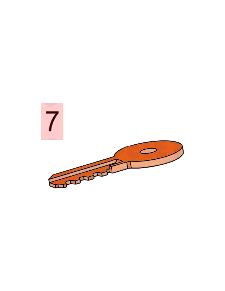 Paire de clés chiffrées 770 n°201 Faac 713021