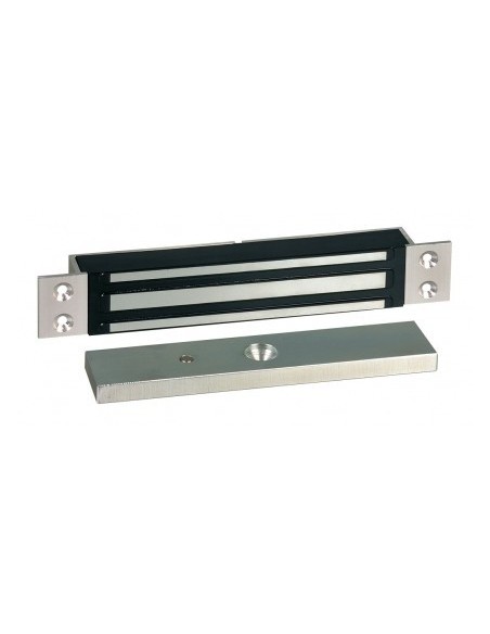Ventouse électromagnétique 300 daN 12-24V DC Sewosy EF300ENC CA